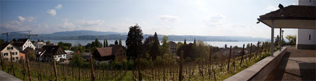 Panorama