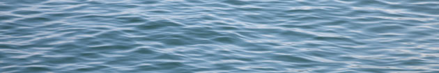 Wasser